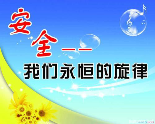 图片11