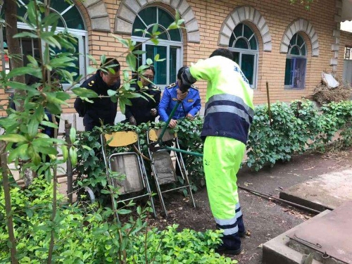 绿萝垃圾 绿萝垃圾