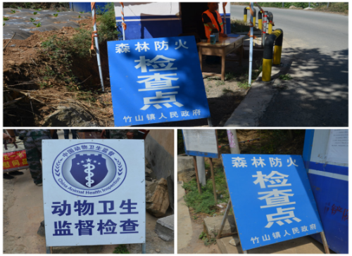 图片20