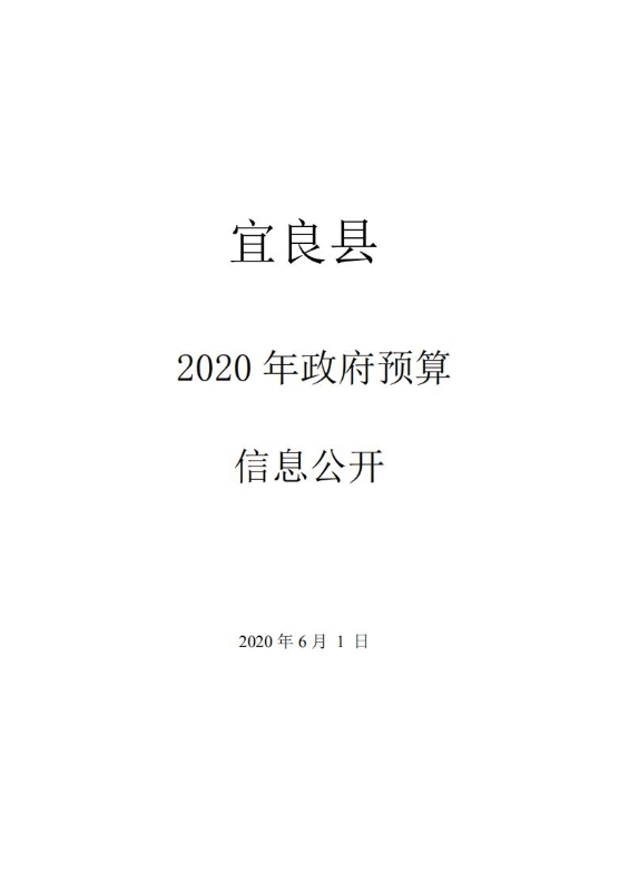 1宜良县政府预算信息公开封面20200601034520789_00