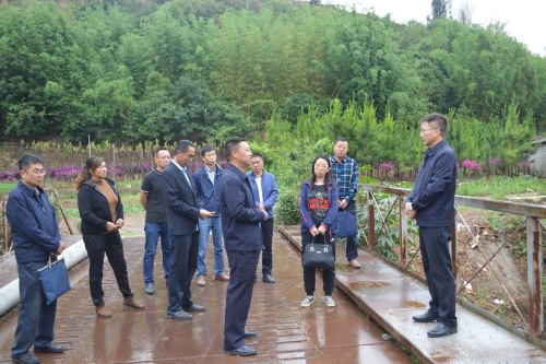 刘中政不忘初心去古城1