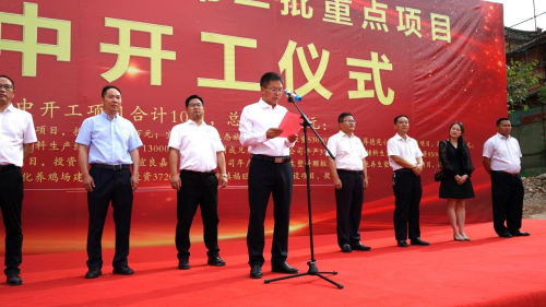图片3