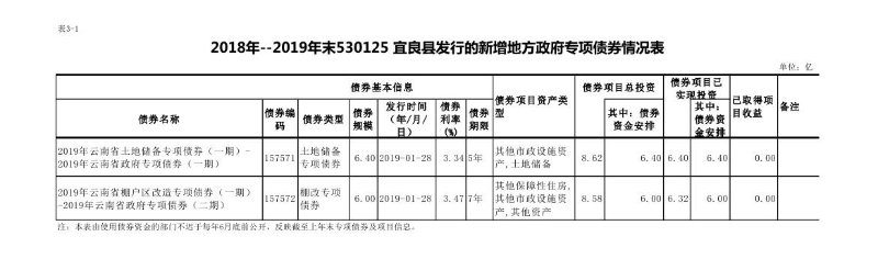2019年新增专项债券信息公开表0000-1