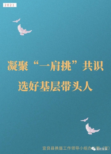 宜良县村（社区）“两委”换届“一肩挑”宣传标语 (1)
