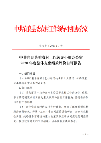 宜农办〔2021〕1号 中共宜良县委农村工作领导小组办公室2020年度整体支出绩效评价自评报告_00