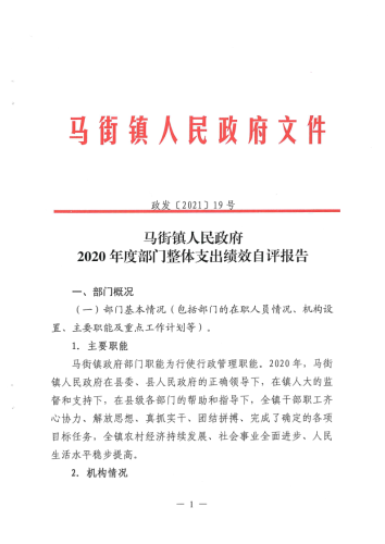 马街镇2020年度部门整体支出绩效自评报告_1