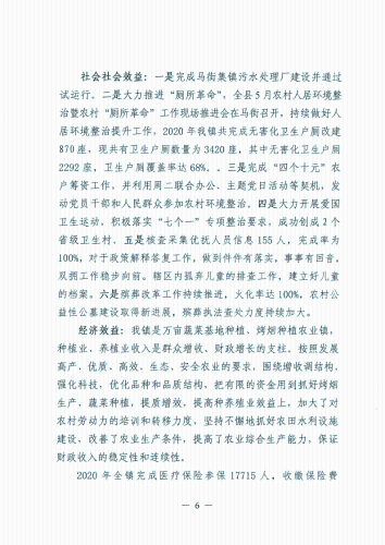 马街镇2020年度部门整体支出绩效自评报告_6