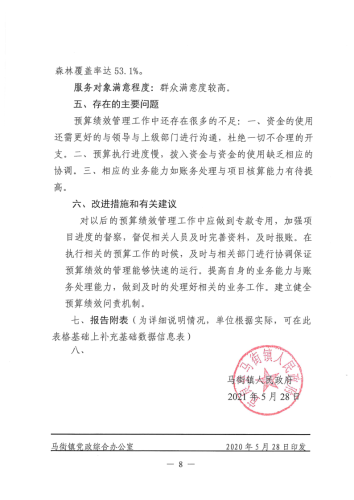 马街镇2020年度部门整体支出绩效自评报告_8