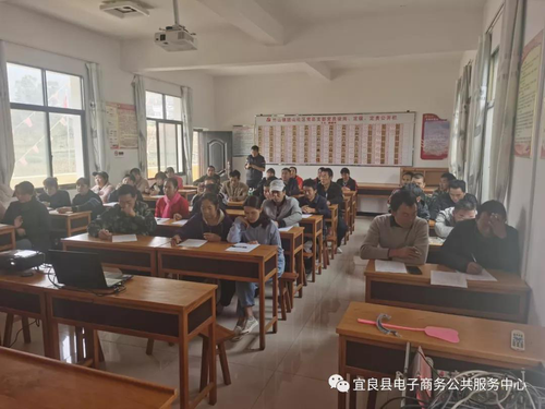 图片6