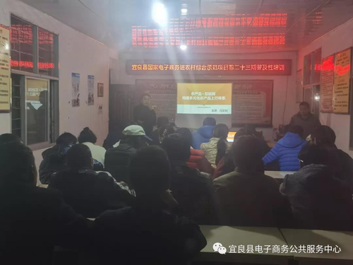 图片11