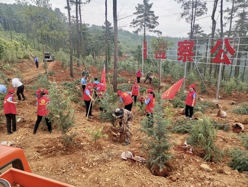 栽树 (2) 栽树 (2)