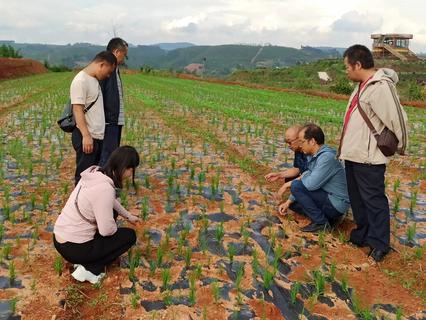 29f7ff75aee57a199db08fa820b498a 29f7ff75aee57a199db08fa820b498a