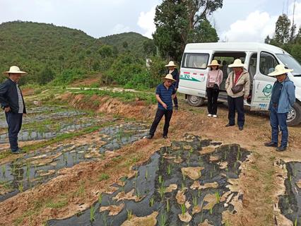 b4bac616d396dbc29f5c480243771af b4bac616d396dbc29f5c480243771af