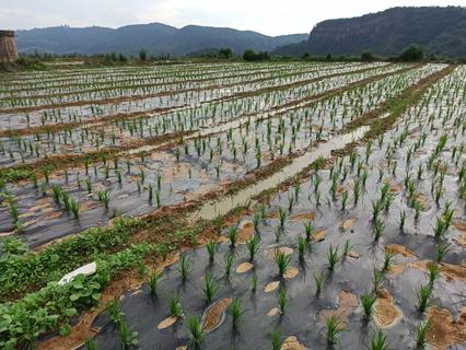 cefb333a39c32ce821611cafaca7e9f cefb333a39c32ce821611cafaca7e9f