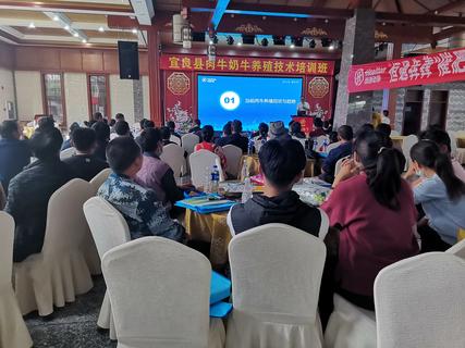 8466461912a6e0883f476c7af73ffd3 8466461912a6e0883f476c7af73ffd3