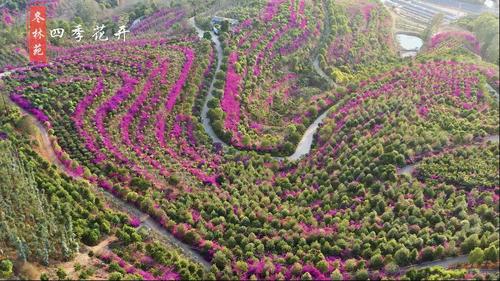 微信图片_20220616151641