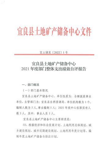2021年土储中心部门整体支出绩效评价_00