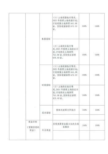 2021年土储中心部门整体支出绩效评价_12