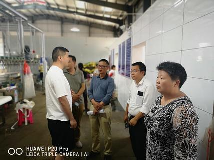 调研家禽集中屠宰线