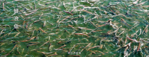 微信图片_20220907101353