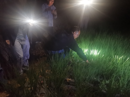 取样进行中 取样进行中