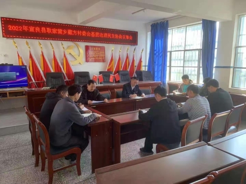 红色网格民主协商议事