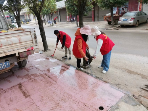 环境整治志愿服务