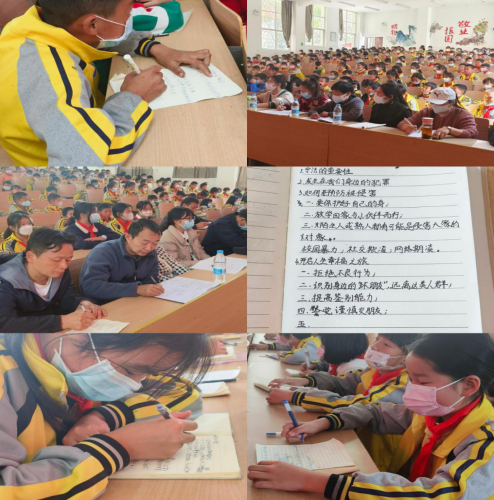 图片2