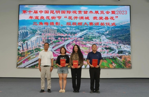 图片2