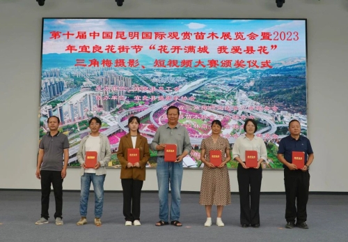 图片3