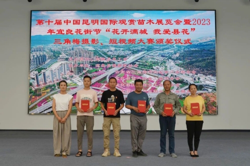 图片4