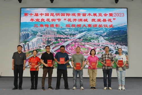 图片5