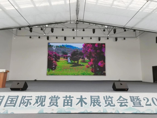 图片7