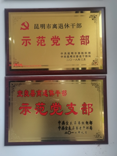 551b377b9b7c15a69d1dc03bd9f287c