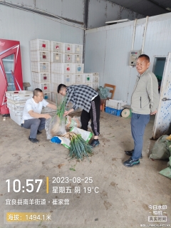 微信图片_20230825150604