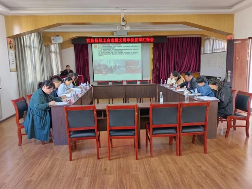 图片3 (2)