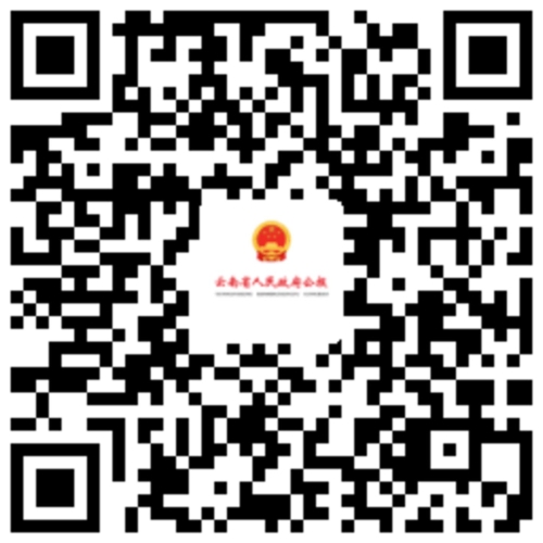 3142885 3142885