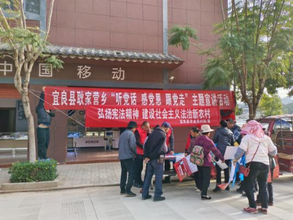 图片5