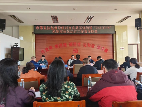 市第五挂包组督导检查工作
