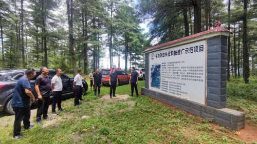 图片4