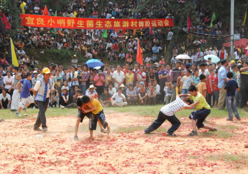 微信图片_20241015165153