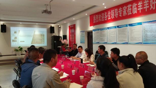 图片10