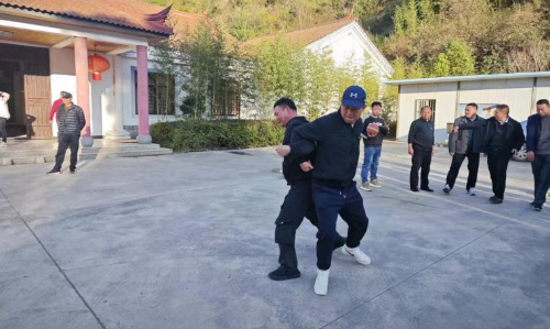 图片8