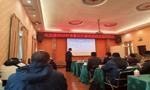 图片5