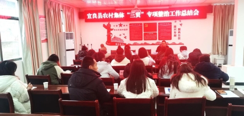 农村“三资”整治工作总结会1_proc
