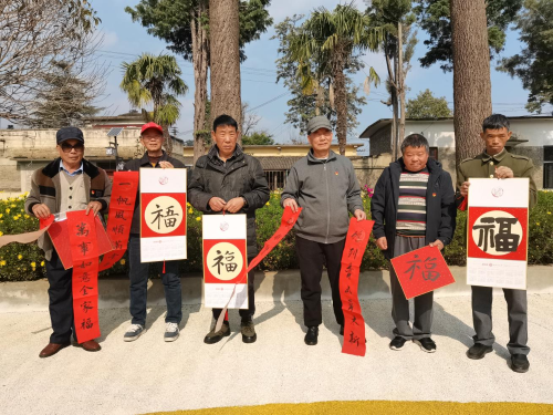 图片5
