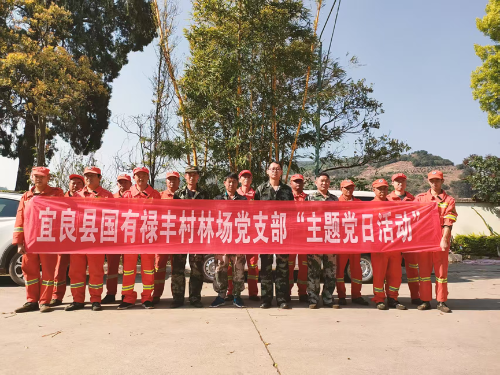 图片1