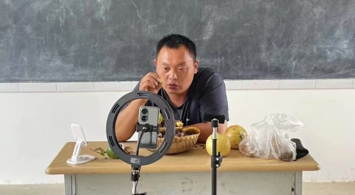 图片4