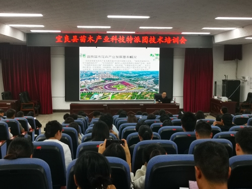 微信图片_20250620114430