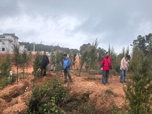 微信图片_20251204153020_35_33 微信图片_20251204153020_35_33